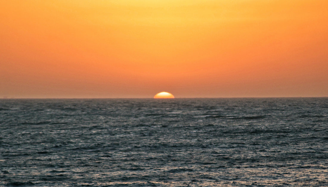 GULF OF MEXICO - A FISHING PARADISE